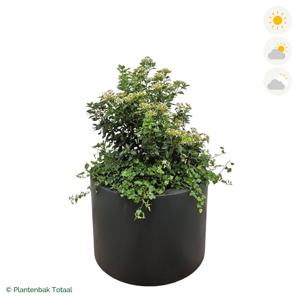 productfoto van plantenbak Polyester Circum Sneeuwbal Combinatie