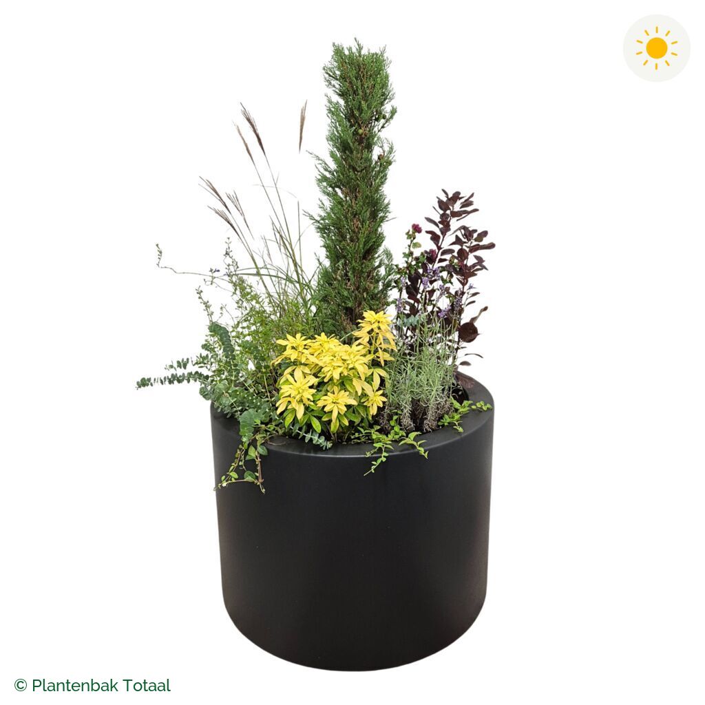 productfoto van plantenbak Polyester Circum Set Toscane