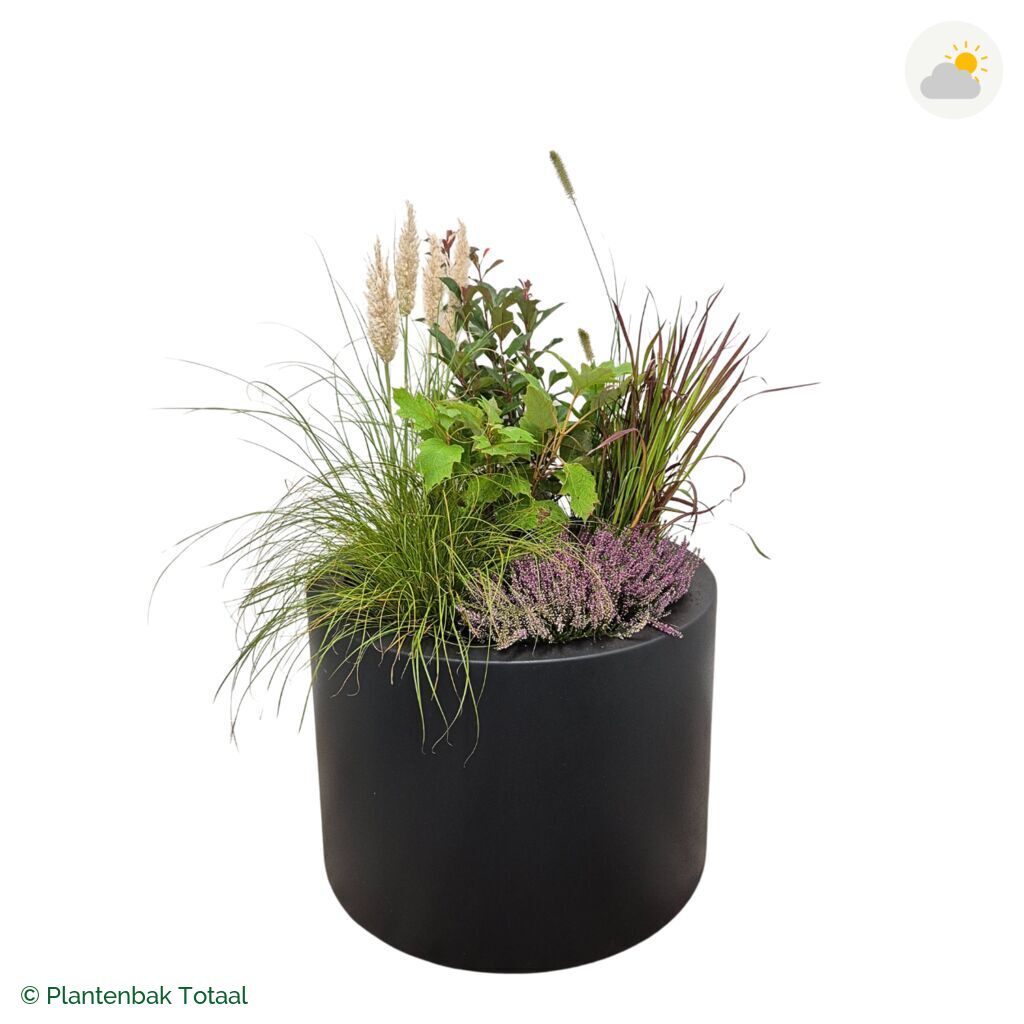 productfoto van plantenbak Polyester Circum Set Veluwe