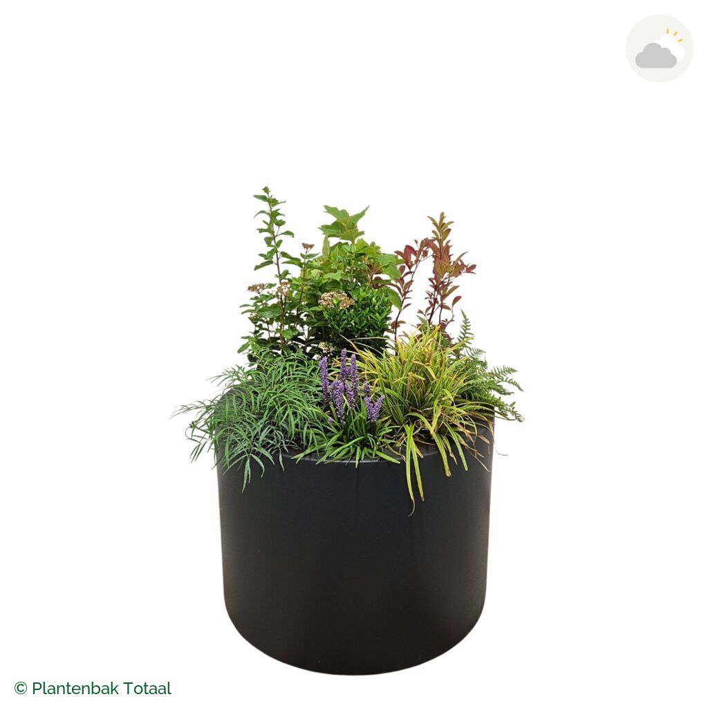 productfoto van plantenbak Polyester Circum Set York