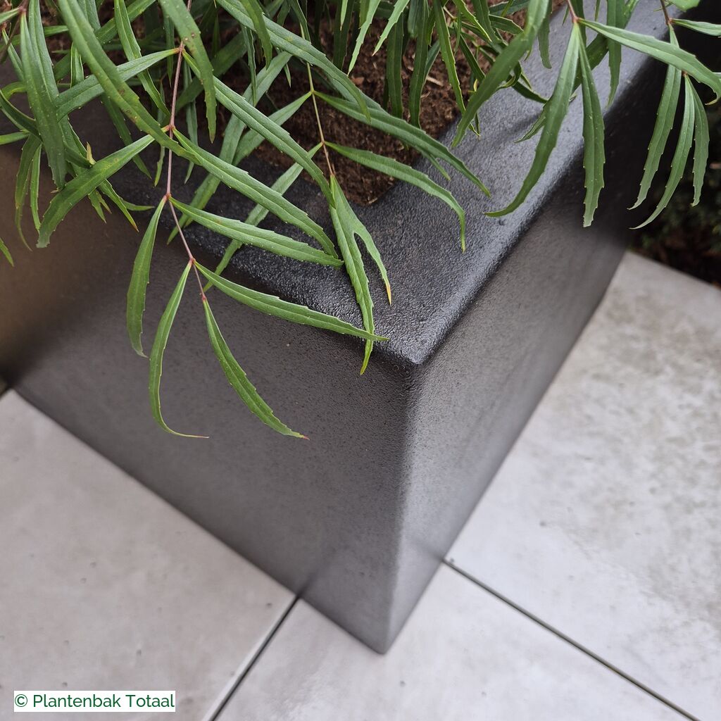 productlijn foto van plantenbak PO Carrez vierkant