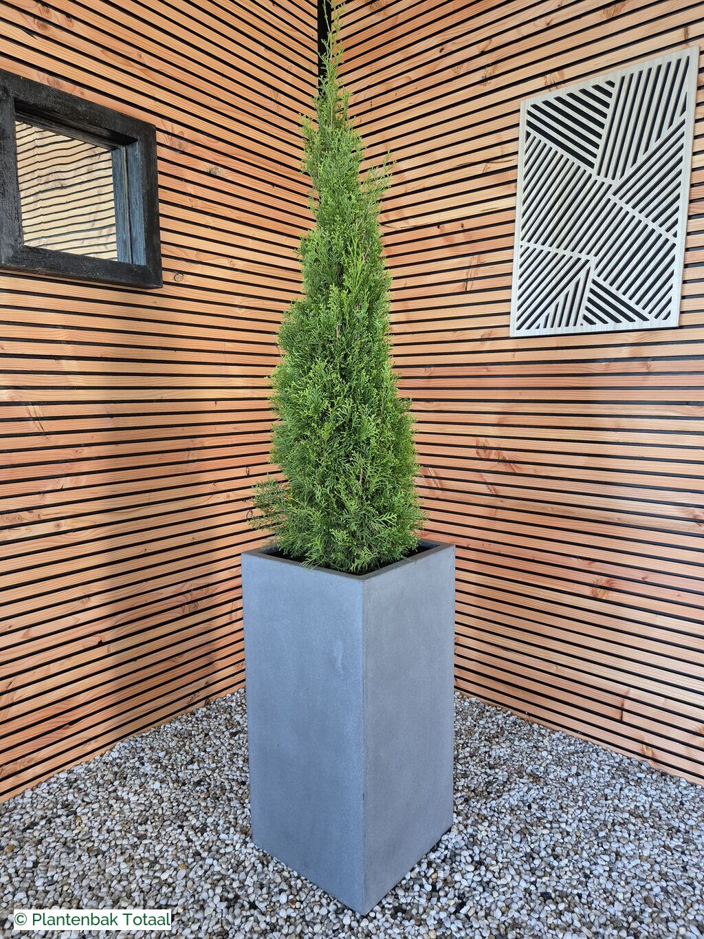 productfoto van plantenbak Fiberstone Bouvy L - Thuja Kegel