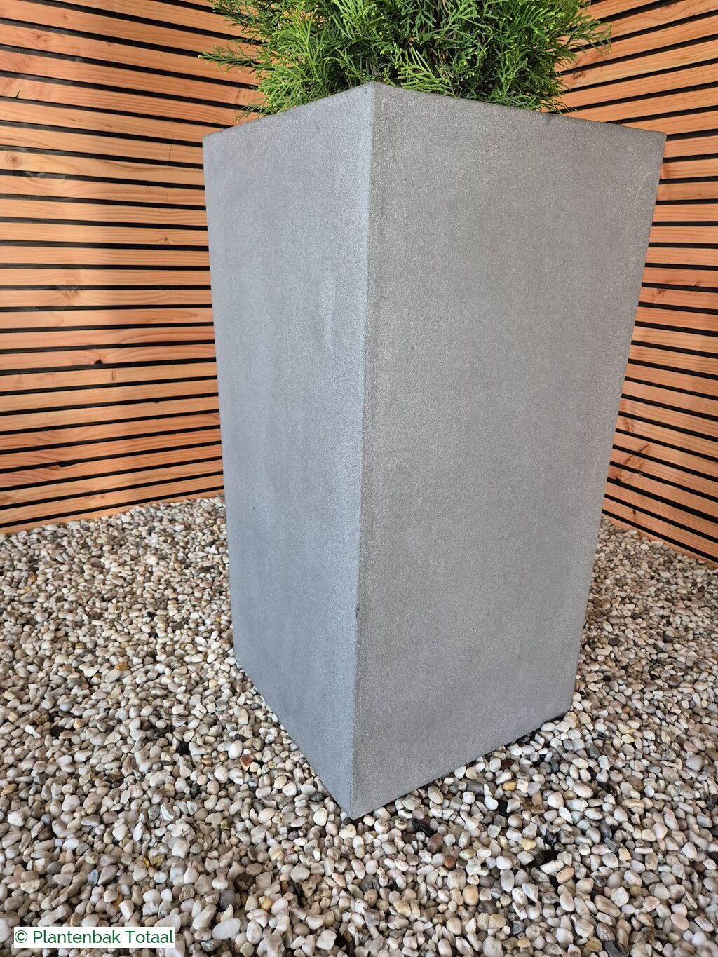 productfoto van plantenbak Fiberstone Bouvy L - Thuja Kegel