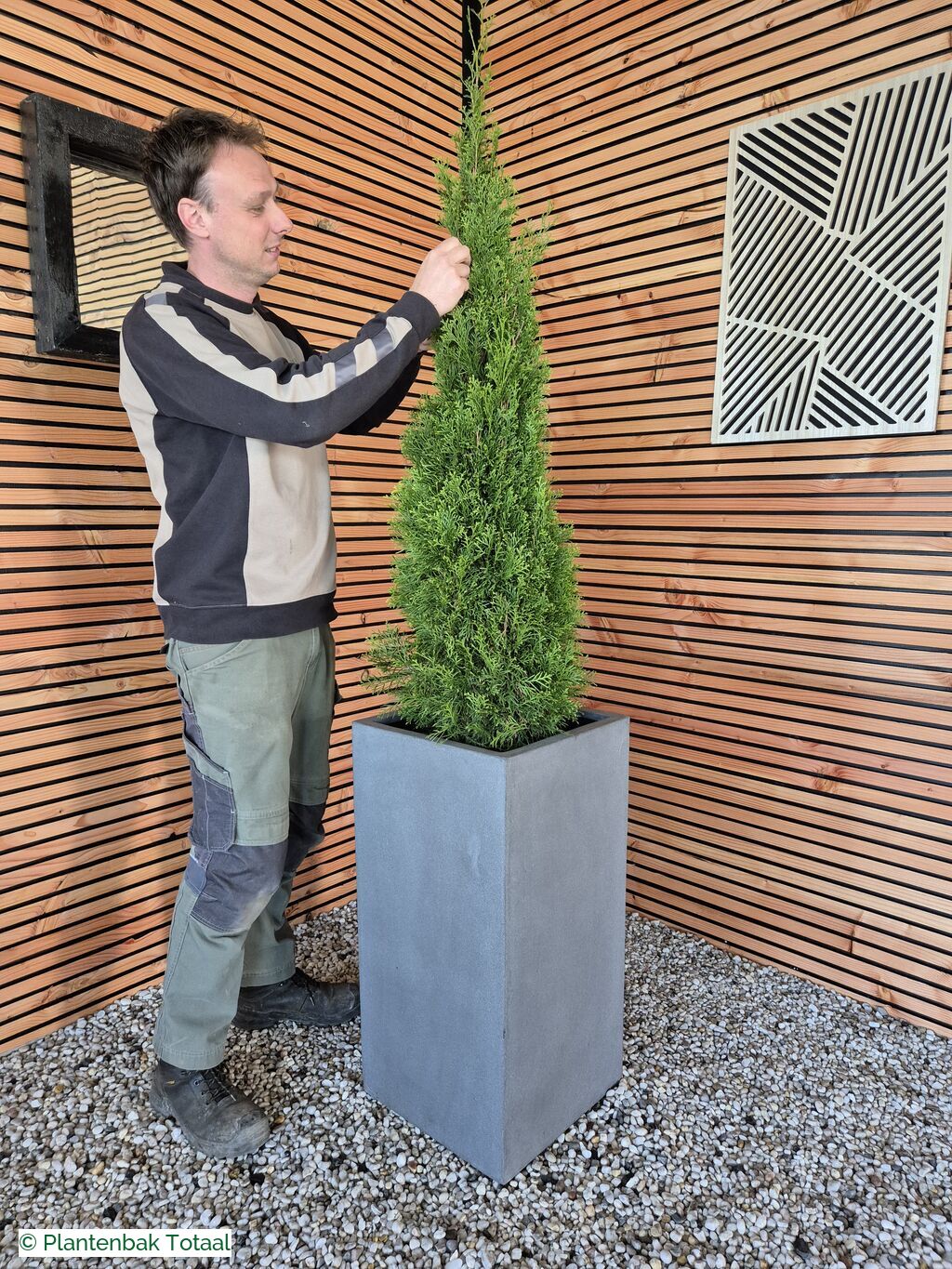 productfoto van plantenbak Fiberstone Bouvy L - Thuja Kegel