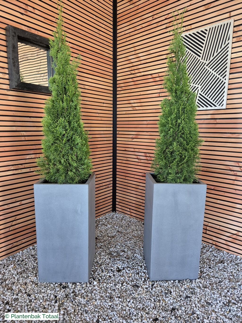 productfoto van plantenbak Fiberstone Bouvy L - Thuja Kegel Combideal