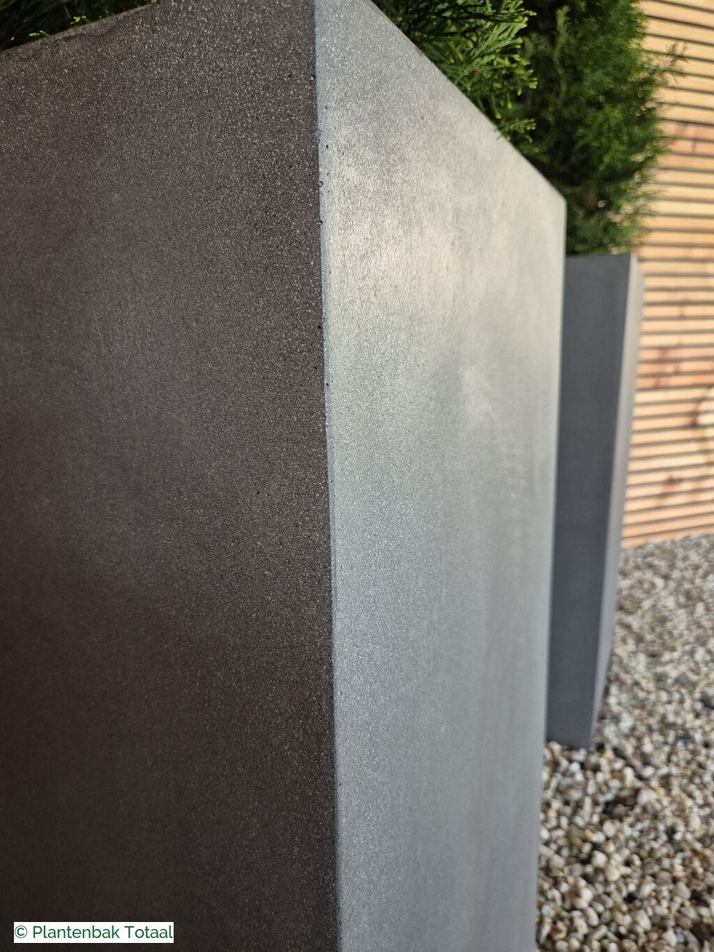 productfoto van plantenbak Fiberstone Bouvy L - Thuja Kegel Combideal