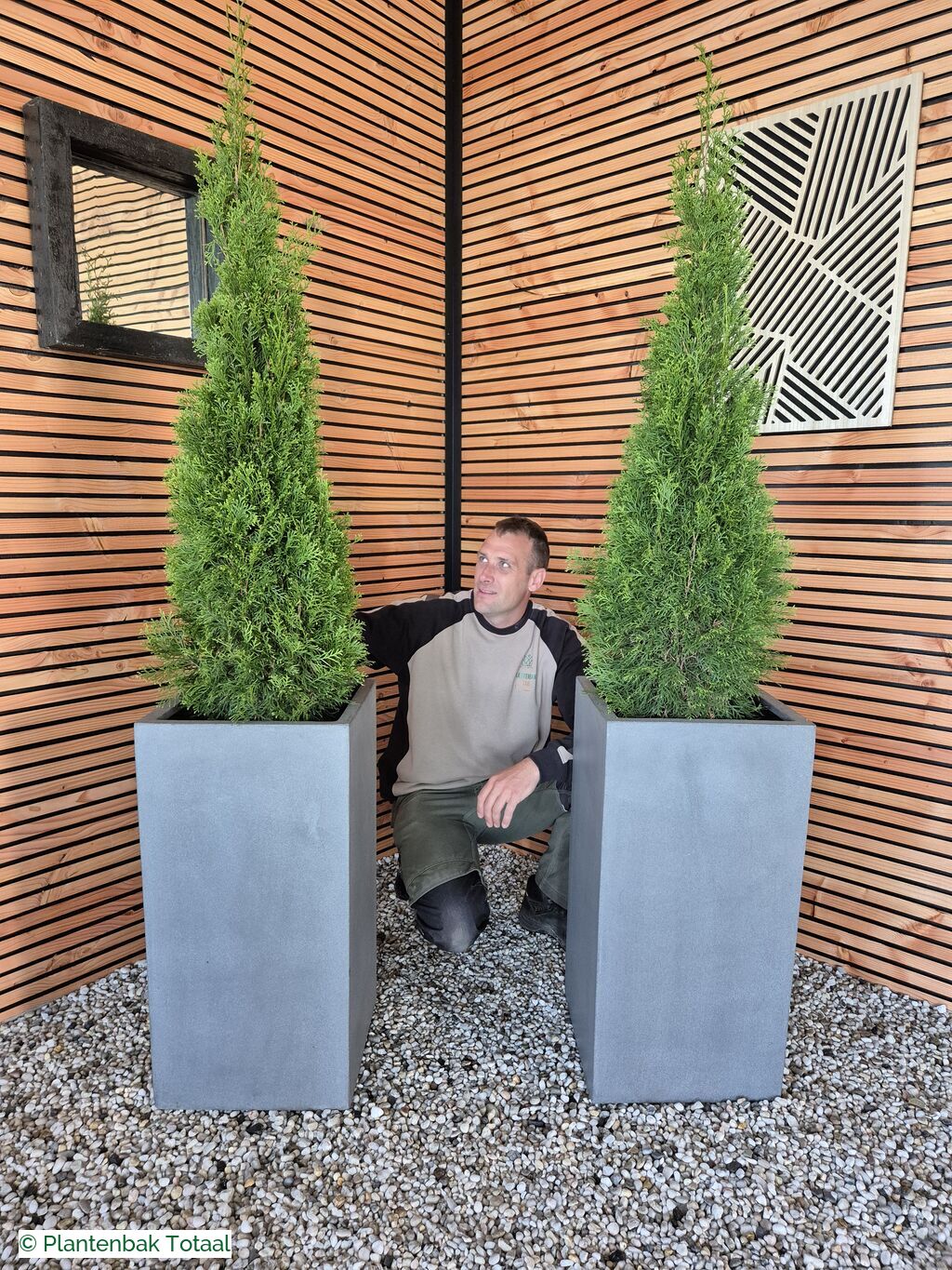 productfoto van plantenbak Fiberstone Bouvy L - Thuja Kegel Combideal