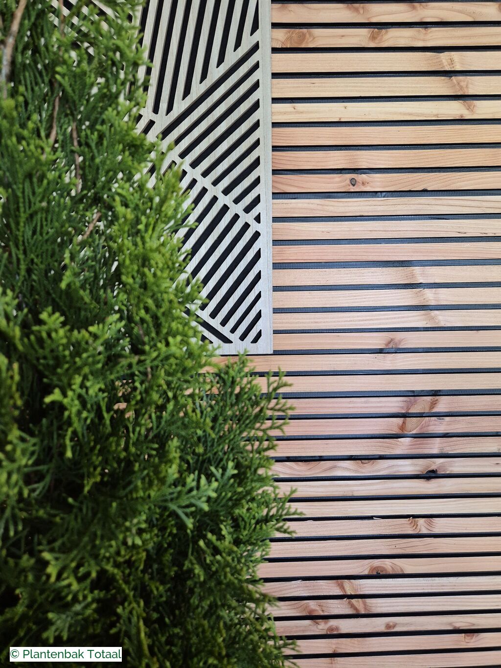productfoto van plantenbak Fiberstone Bouvy L - Thuja Kegel Combideal