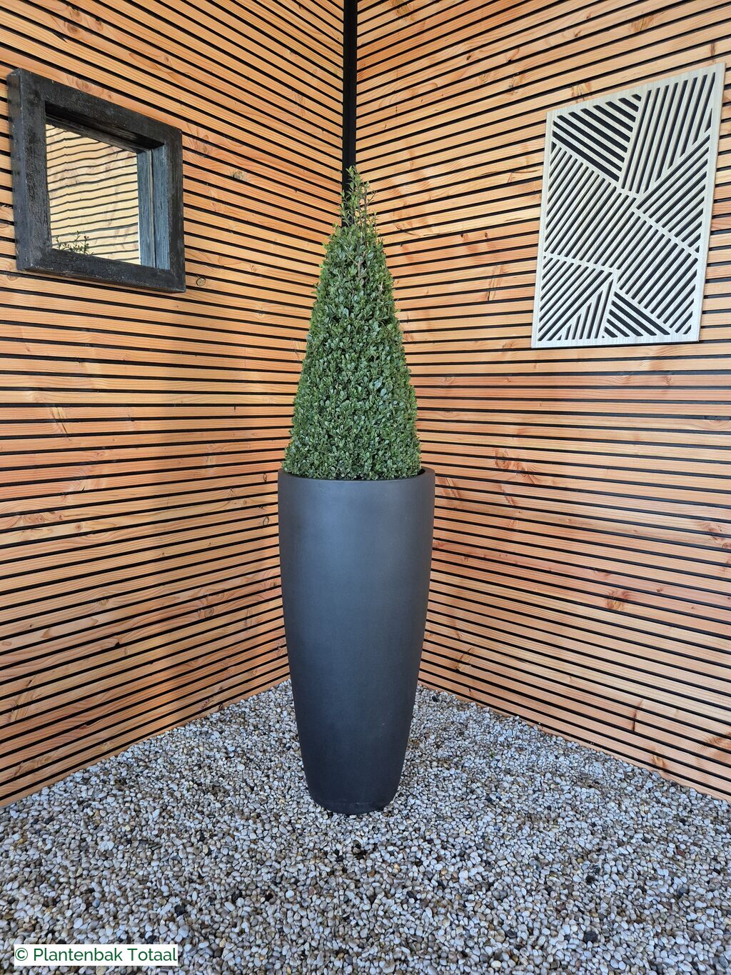 productfoto van plantenbak Fiberstone Dax XL - Ilex Kegel