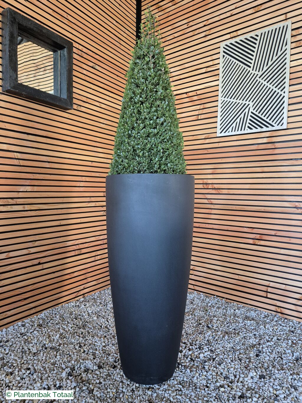 productfoto van plantenbak Fiberstone Dax XL - Ilex Kegel
