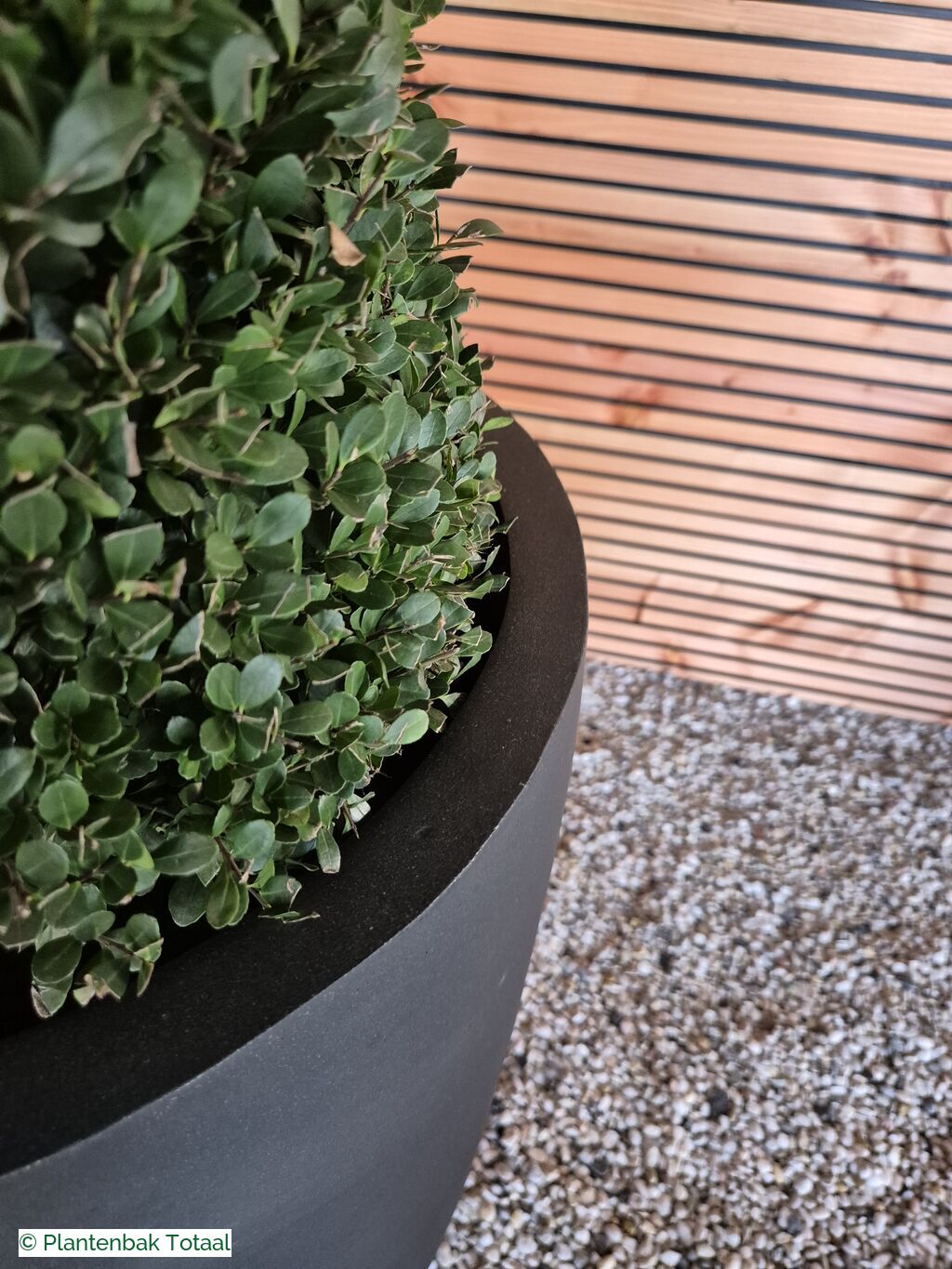 productfoto van plantenbak Fiberstone Dax XL - Ilex Kegel