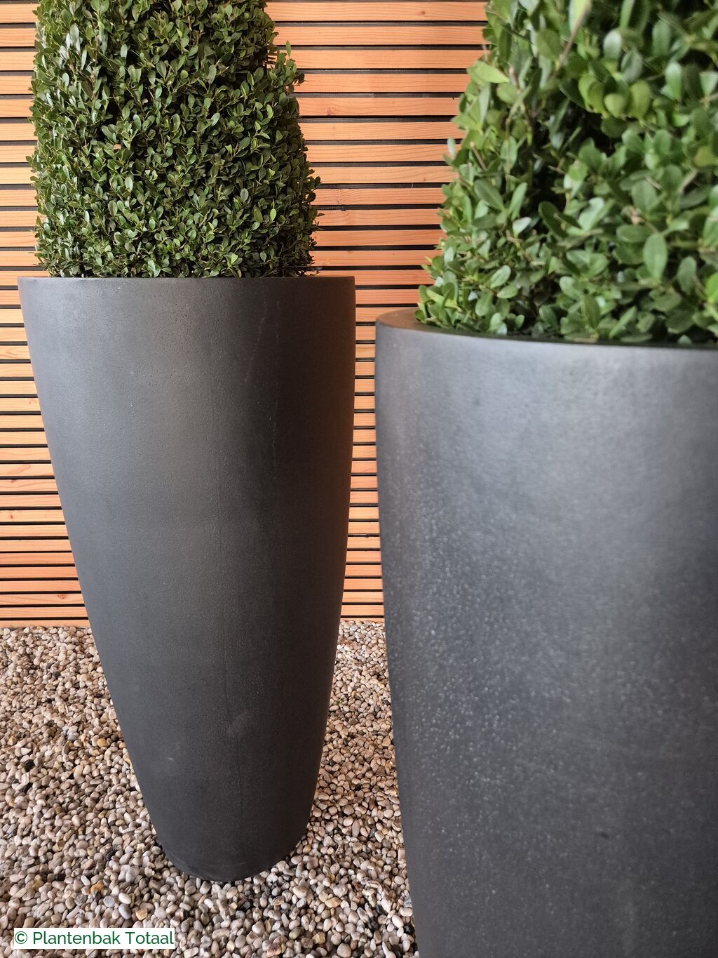 productfoto van plantenbak Fiberstone Dax XL - Ilex Kegel Combideal