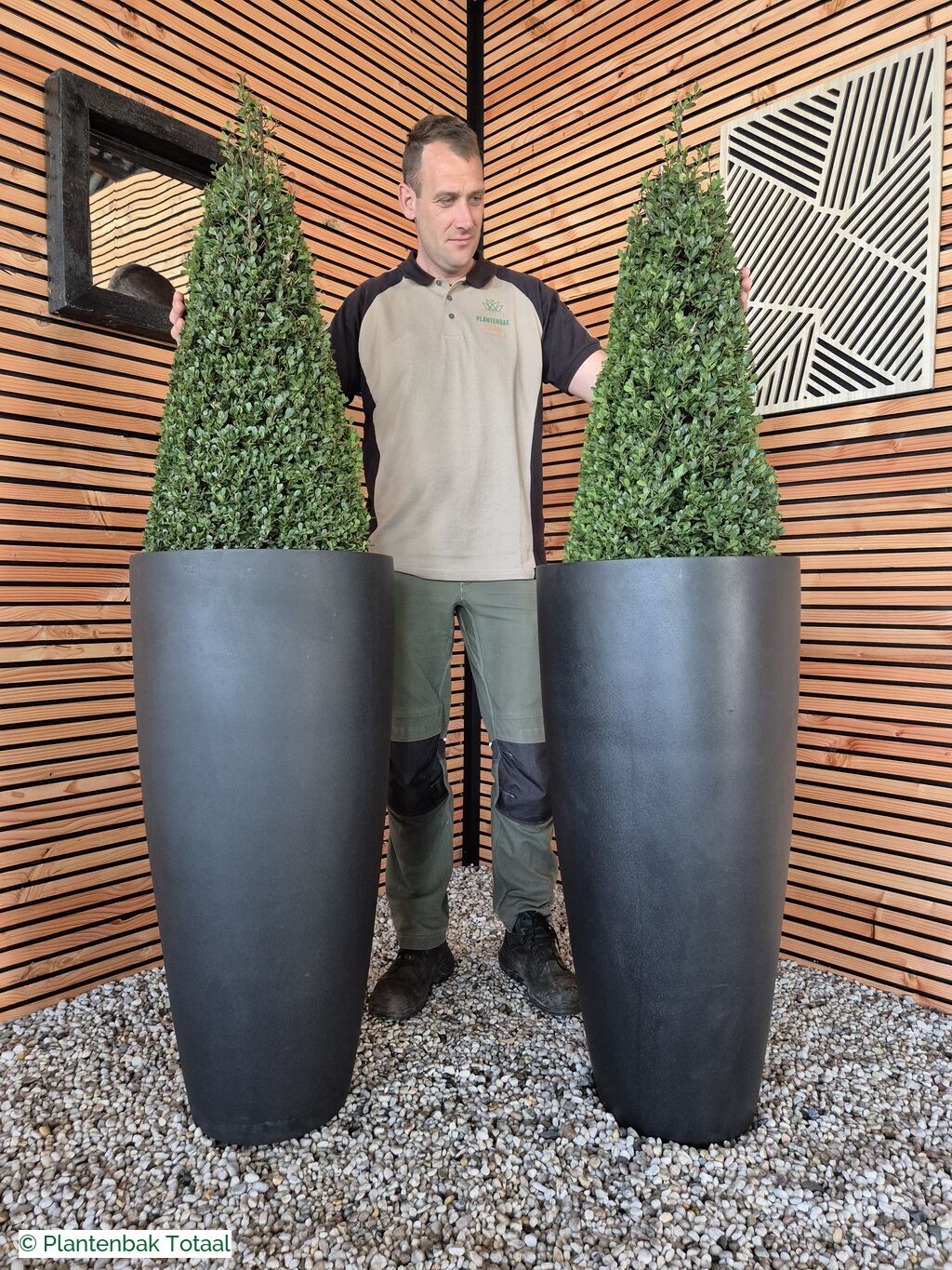 productfoto van plantenbak Fiberstone Dax XL - Ilex Kegel Combideal