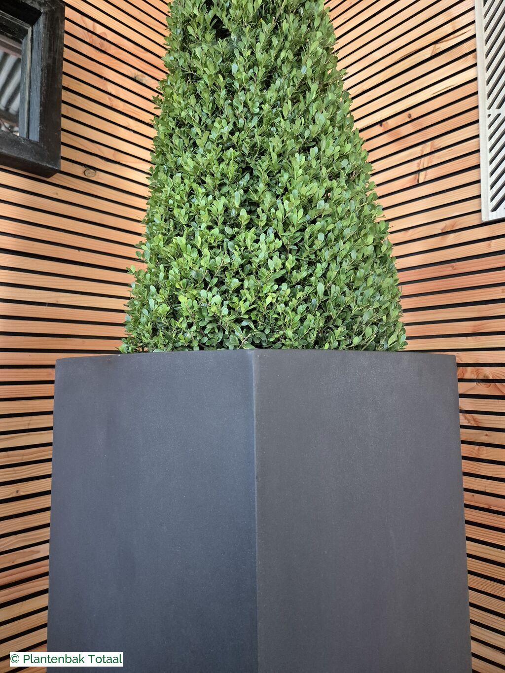 productfoto van plantenbak Fiberstone Bouvy XL - Ilex Kegel