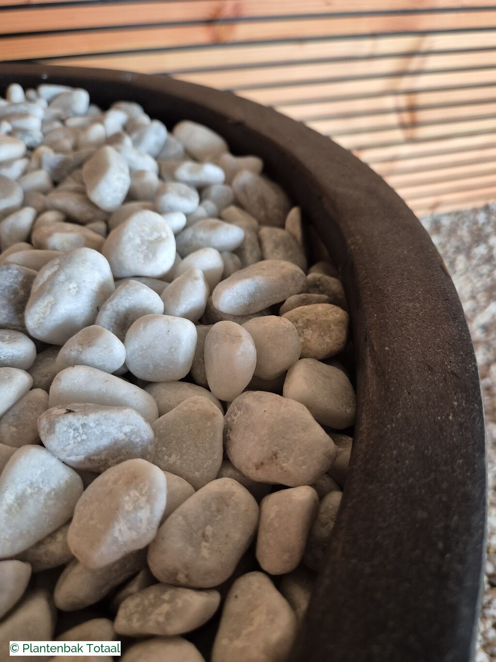 productfoto van plantenbak Fiberstone Pax XL - Olijfboom