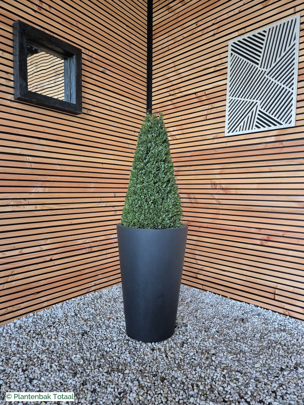 productfoto van plantenbak Fiberstone Belle M - Ilex Kegel