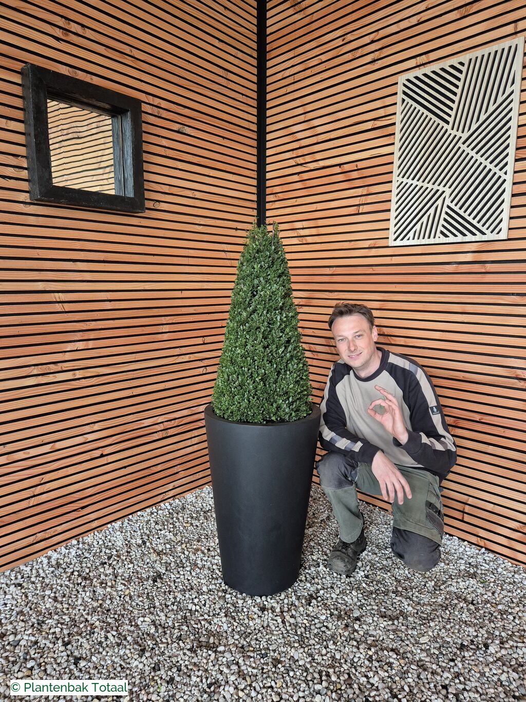 productfoto van plantenbak Fiberstone Belle M - Ilex Kegel