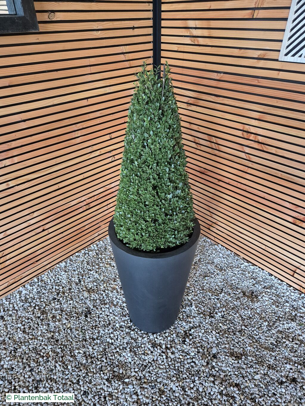 productfoto van plantenbak Fiberstone Belle M - Ilex Kegel
