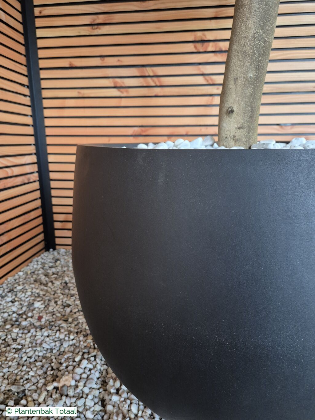 productfoto van plantenbak Fiberstone Orb L - Olijfboom