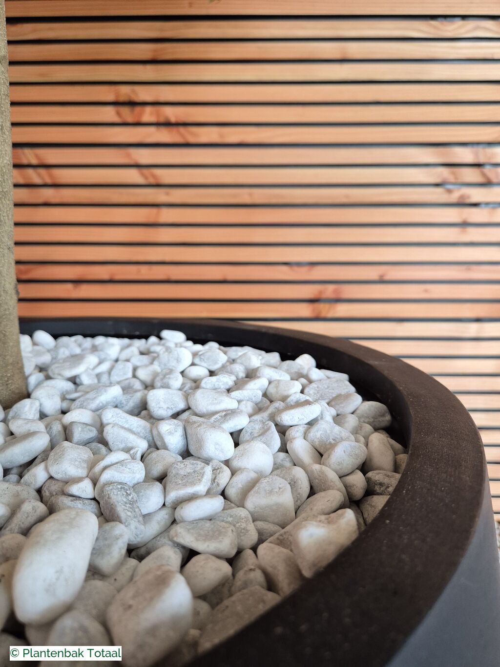 productfoto van plantenbak Fiberstone Orb L - Olijfboom