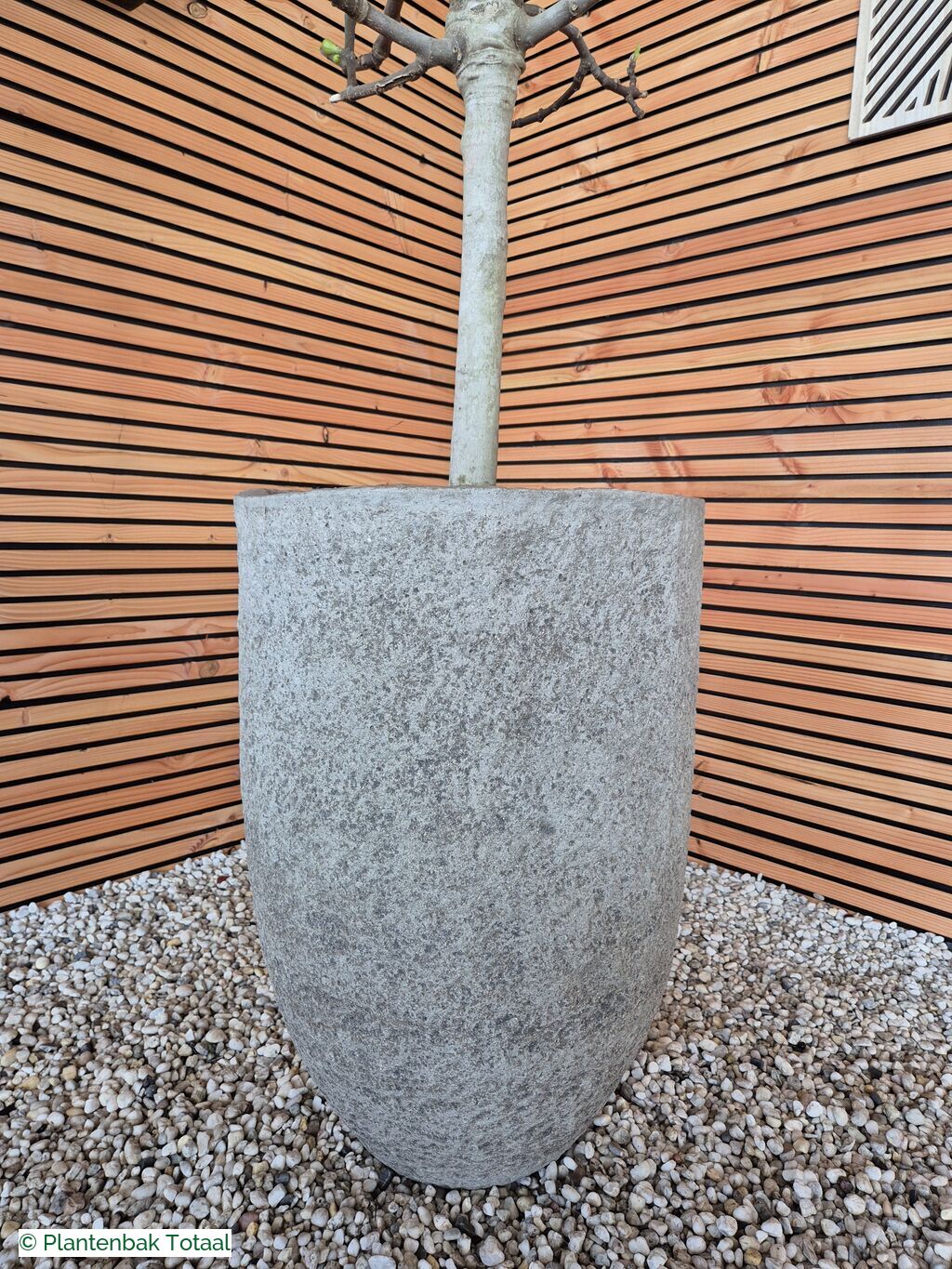 productfoto van plantenbak Fiberstone Mt. Hayes L - Vijgenboom