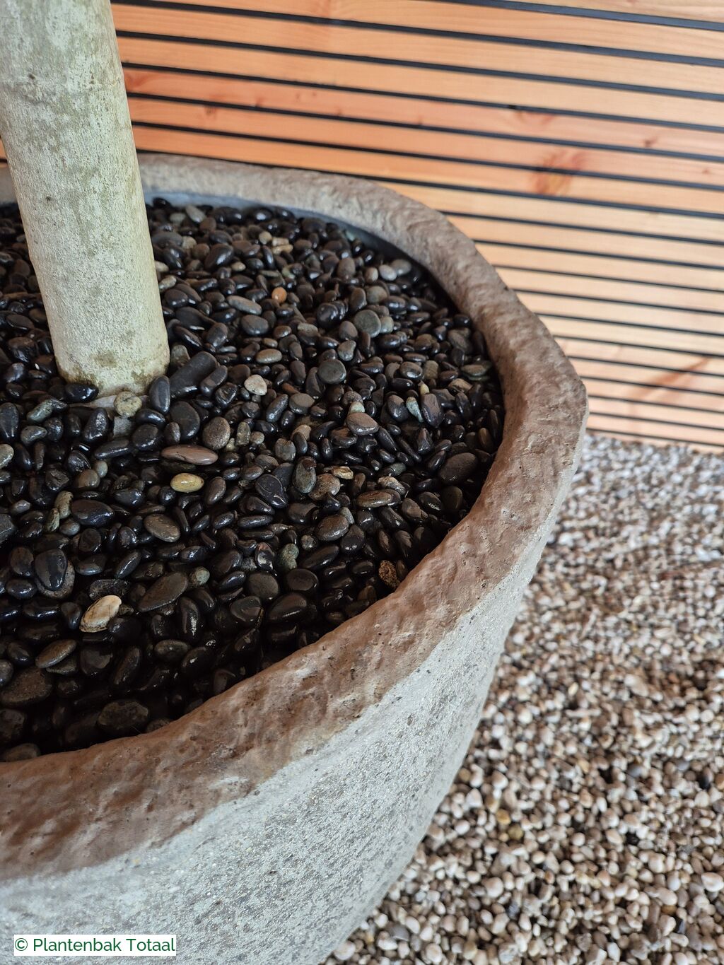 productfoto van plantenbak Fiberstone Mt. Hayes L - Vijgenboom