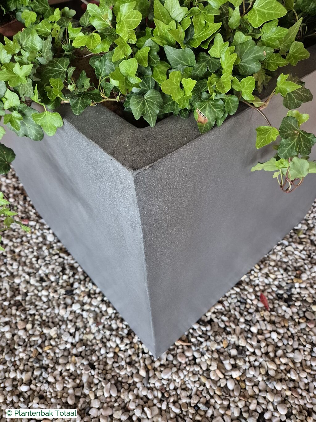 productfoto van plantenbak Fiberstone Jumbo Block M - Photinia Bolvorm