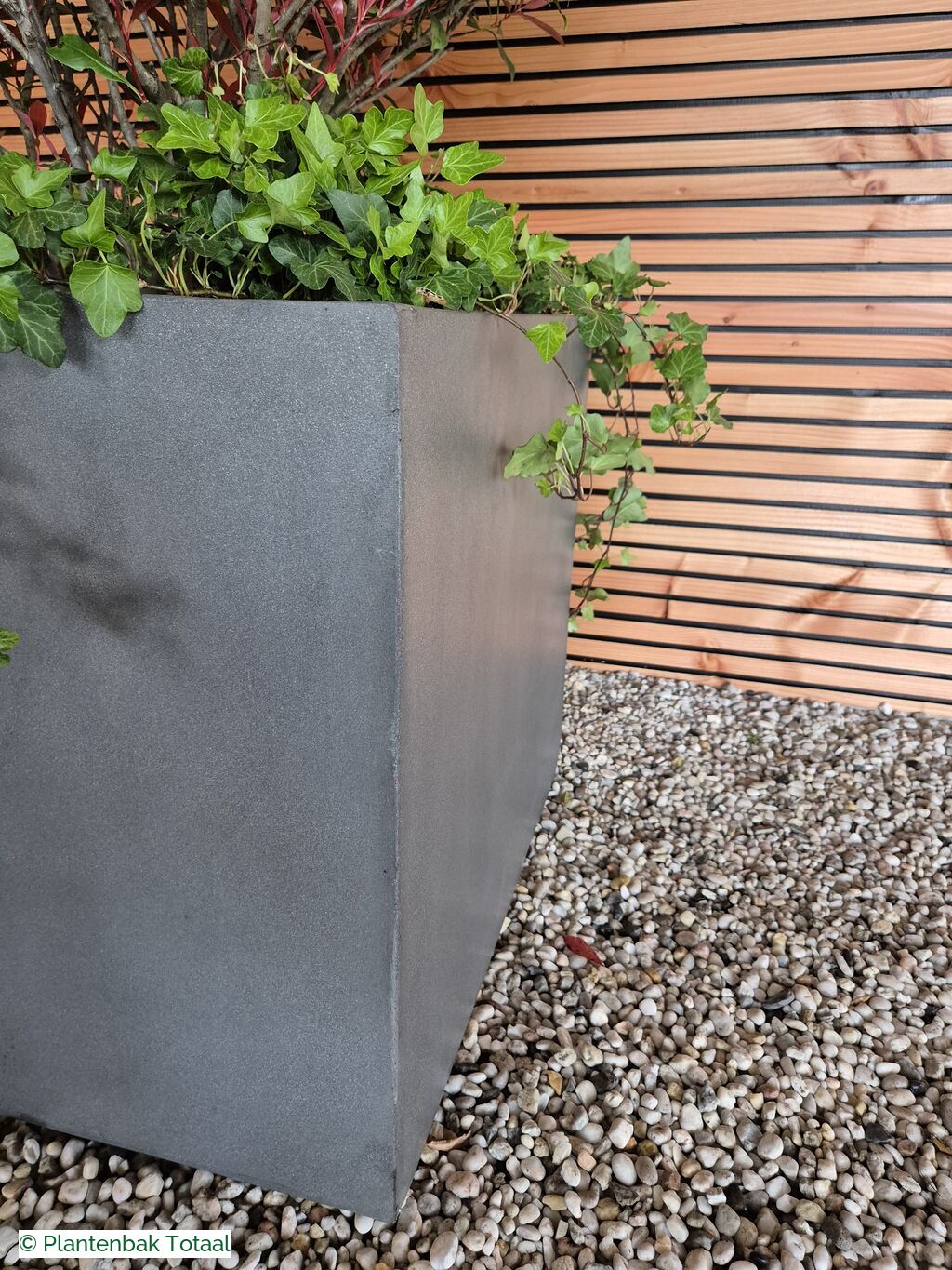 productfoto van plantenbak Fiberstone Jumbo Block M - Photinia Bolvorm