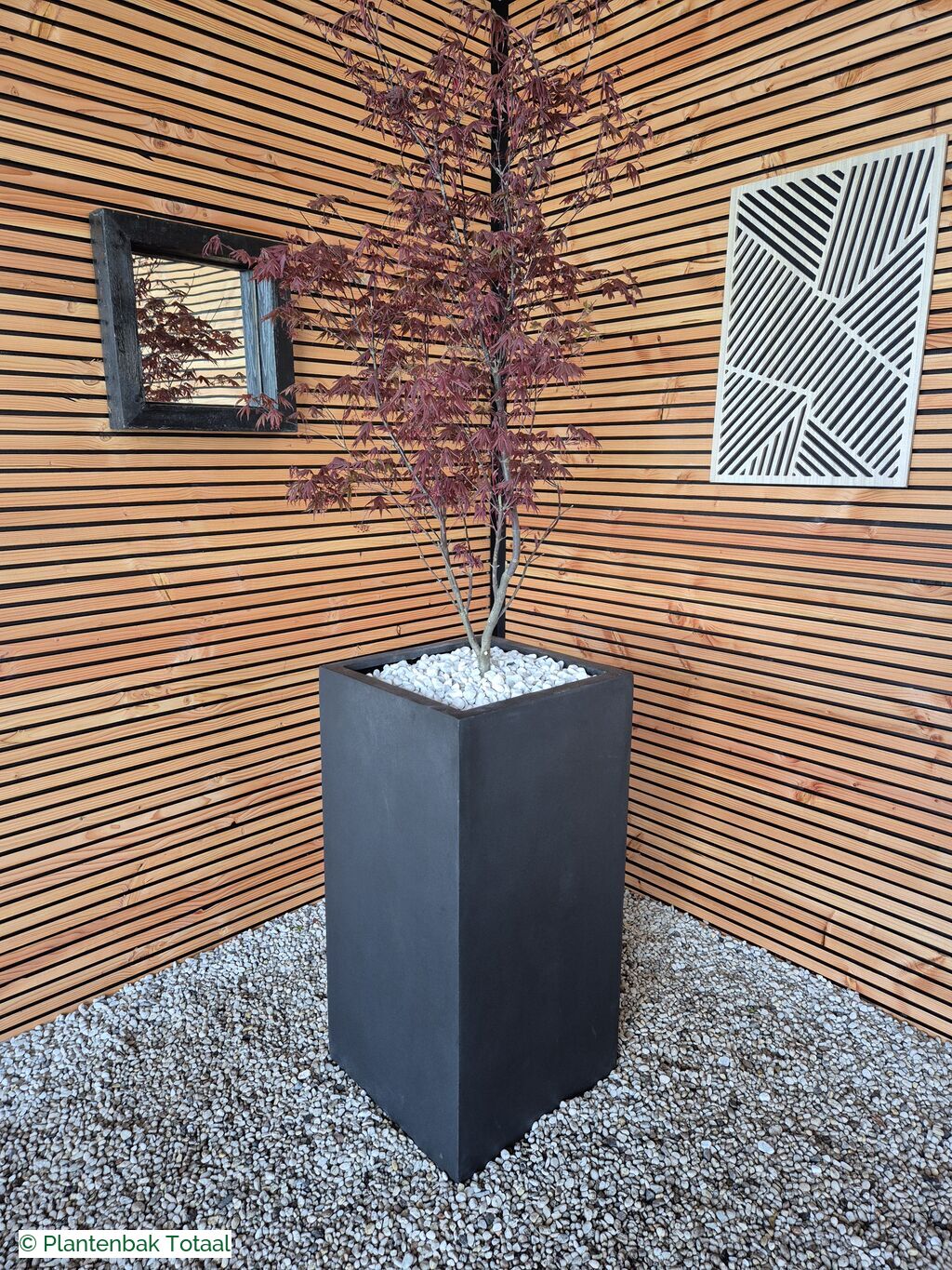 productfoto van plantenbak Fiberstone Bouvy XL - Japanse Esdoorn