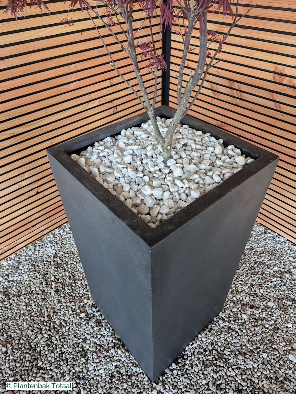 productfoto van plantenbak Fiberstone Bouvy XL - Japanse Esdoorn