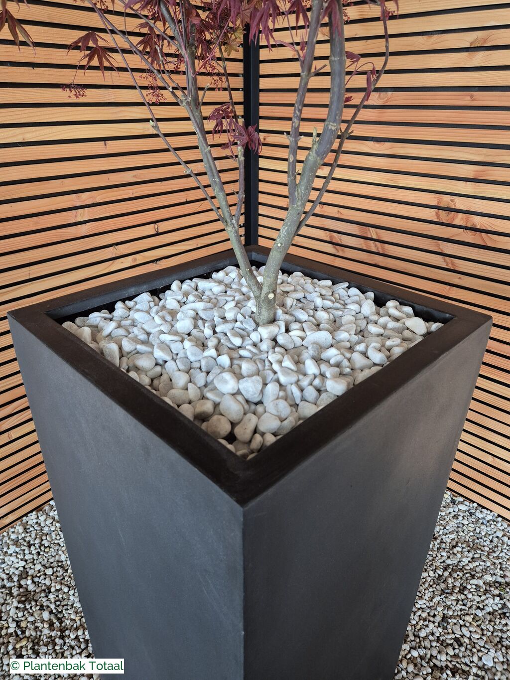 productfoto van plantenbak Fiberstone Bouvy XL - Japanse Esdoorn