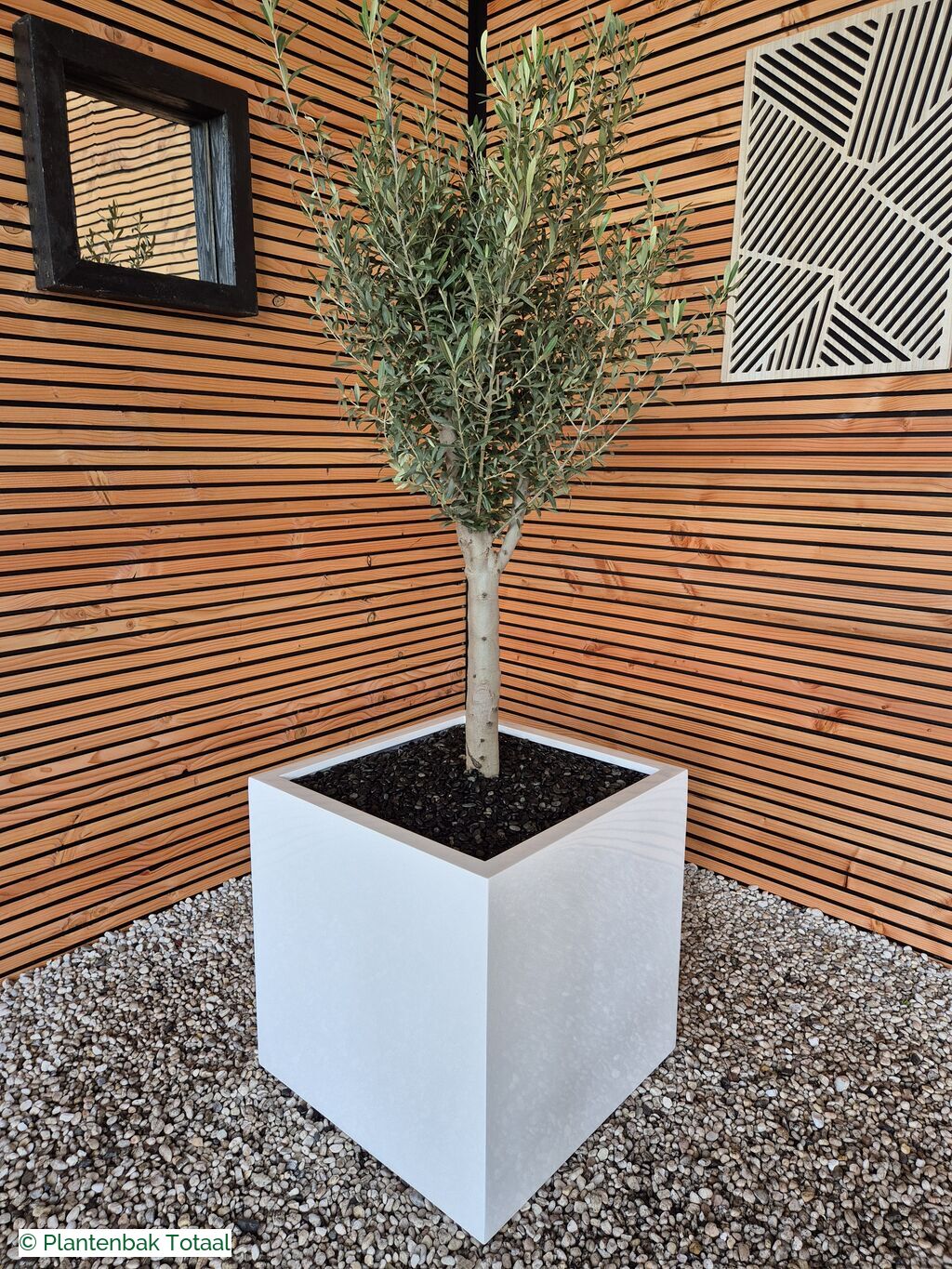 productfoto van plantenbak Fiberstone Block XL Hoogglans - Olijfboom