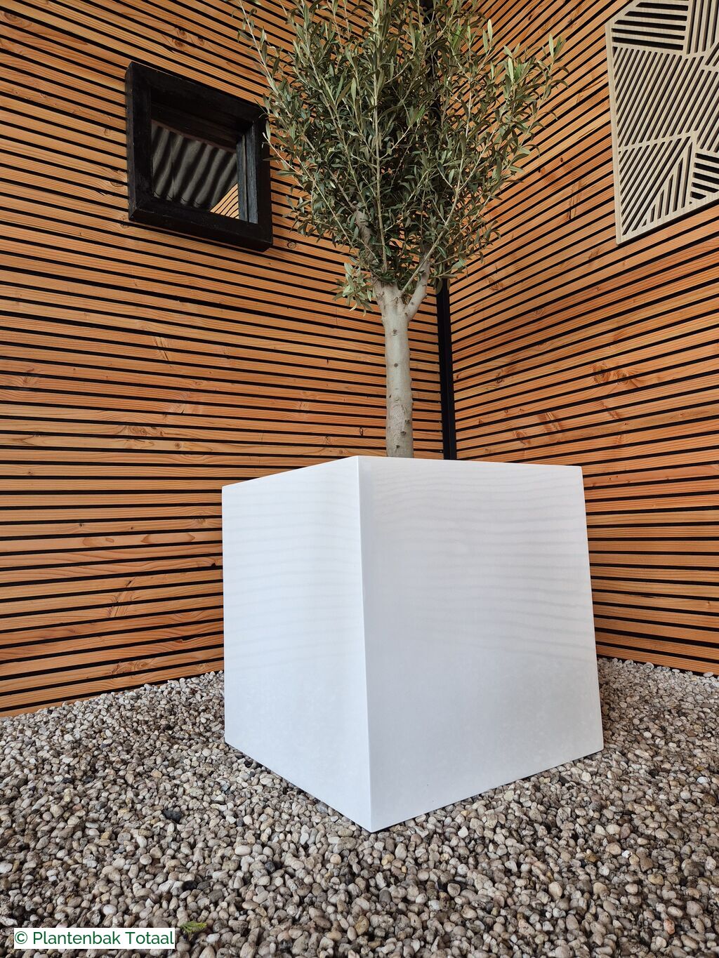 productfoto van plantenbak Fiberstone Block XL Hoogglans - Olijfboom