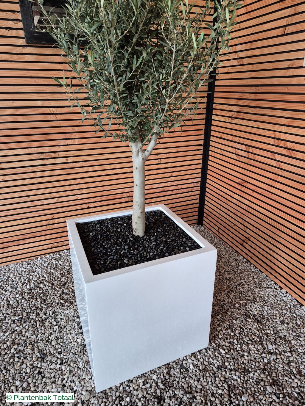 productfoto van plantenbak Fiberstone Block XL Hoogglans - Olijfboom