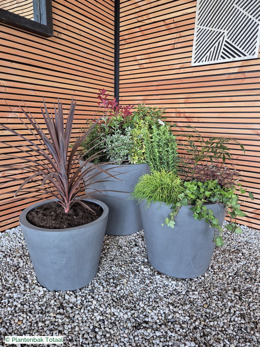productfoto van plantenbak Fiberstone Bucket - Planten Set