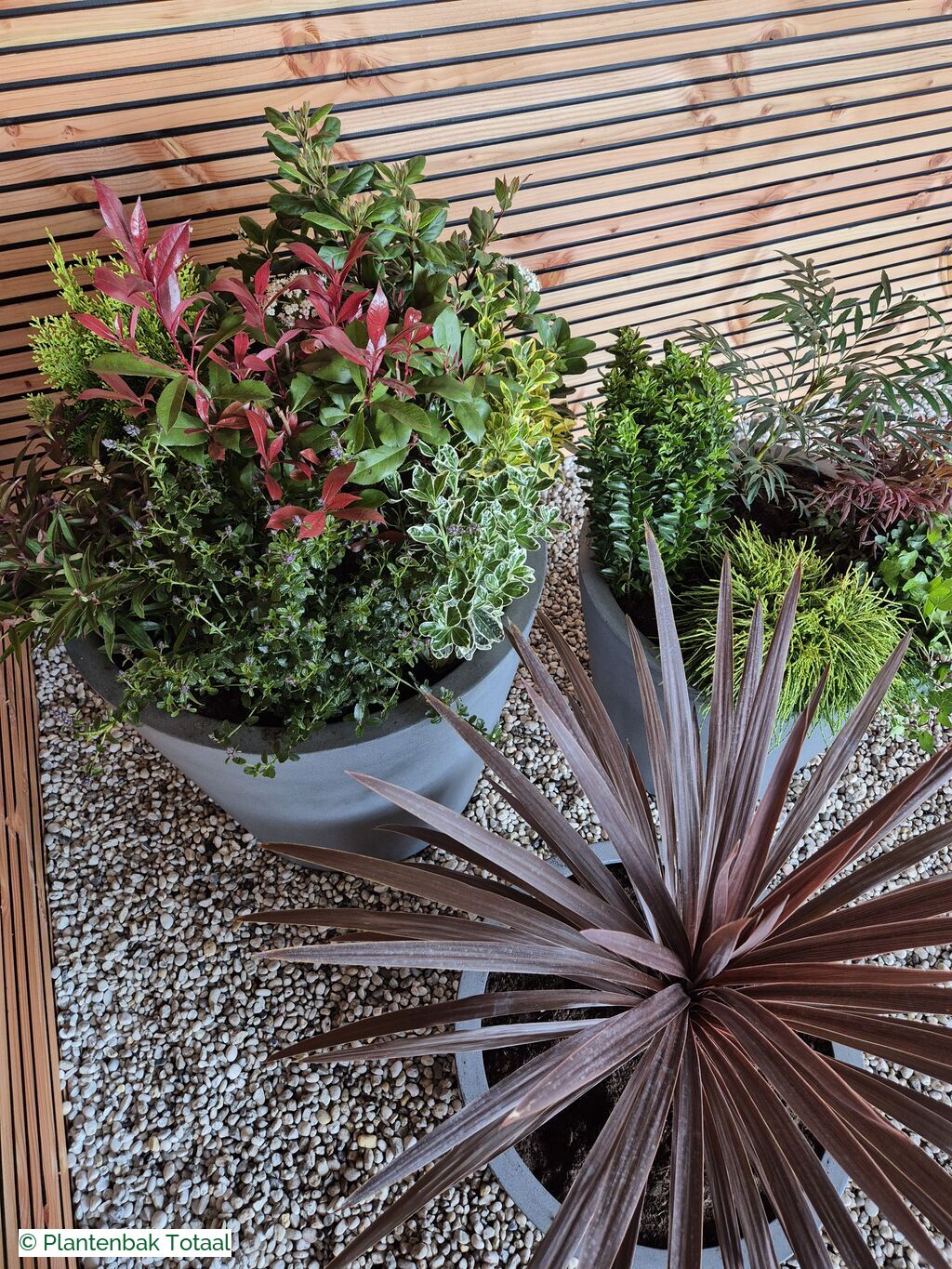 productfoto van plantenbak Fiberstone Bucket - Planten Set