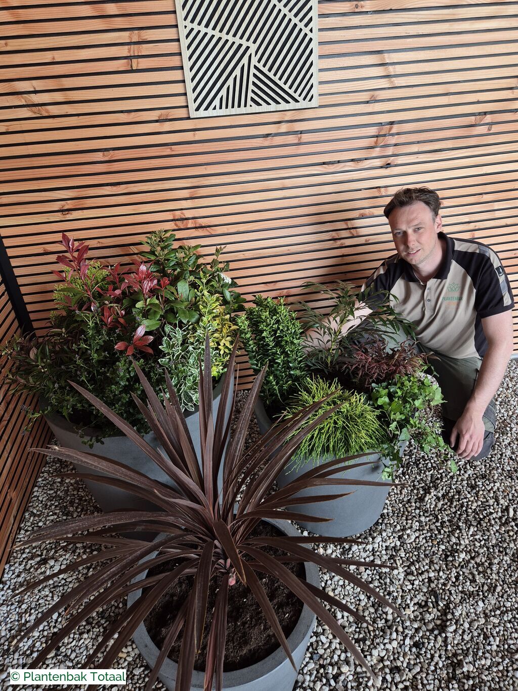 productfoto van plantenbak Fiberstone Bucket - Planten Set