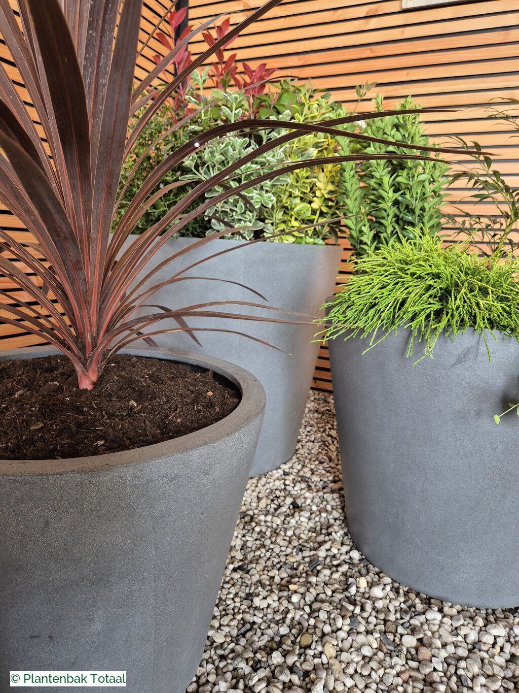 productfoto van plantenbak Fiberstone Bucket - Planten Set