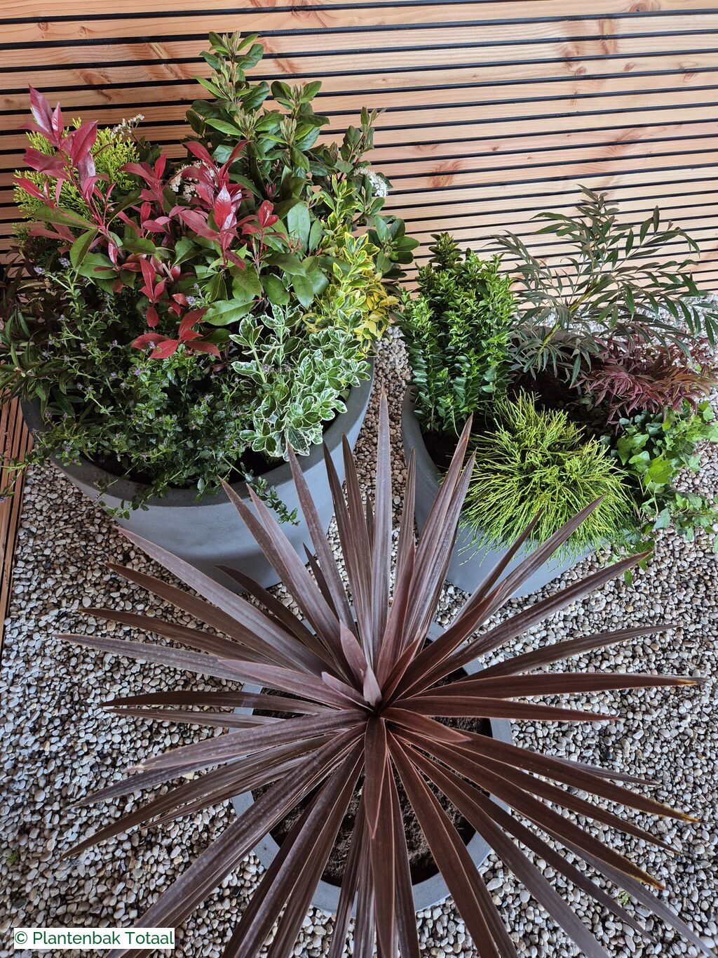 productfoto van plantenbak Fiberstone Bucket - Planten Set