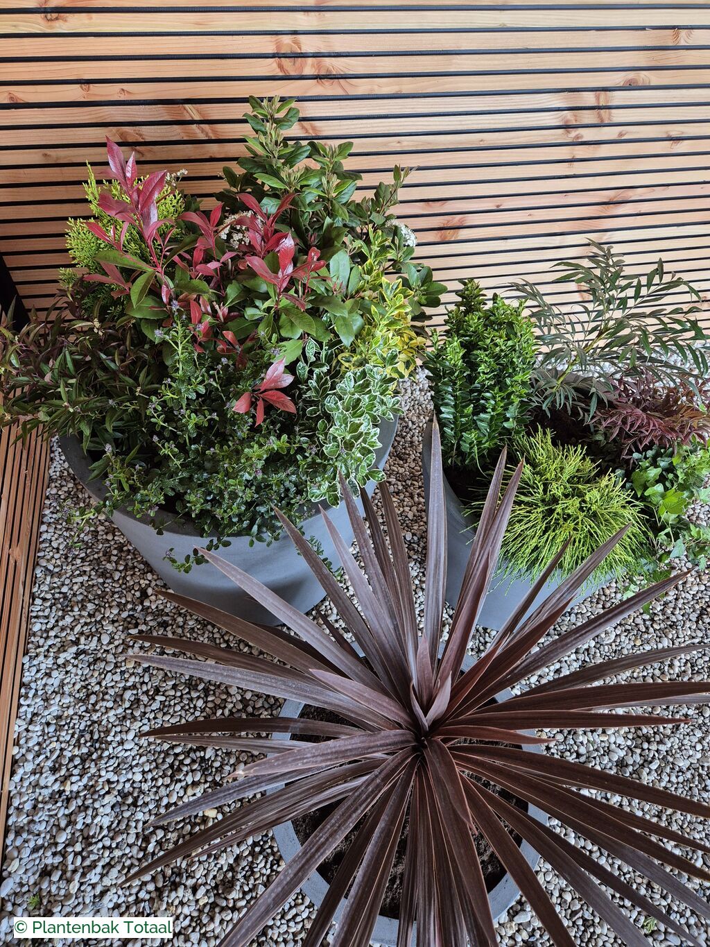 productfoto van plantenbak Fiberstone Bucket - Planten Set