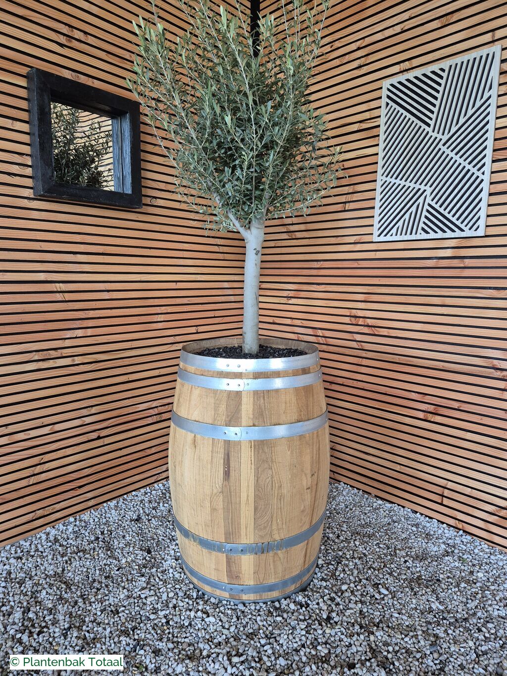 productfoto van plantenbak Eikenhout Wijnvat - Olijfboom