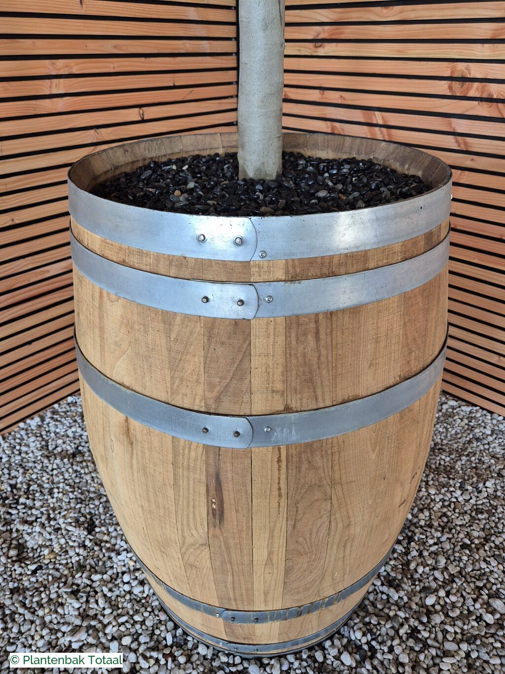 productfoto van plantenbak Eikenhout Wijnvat - Olijfboom