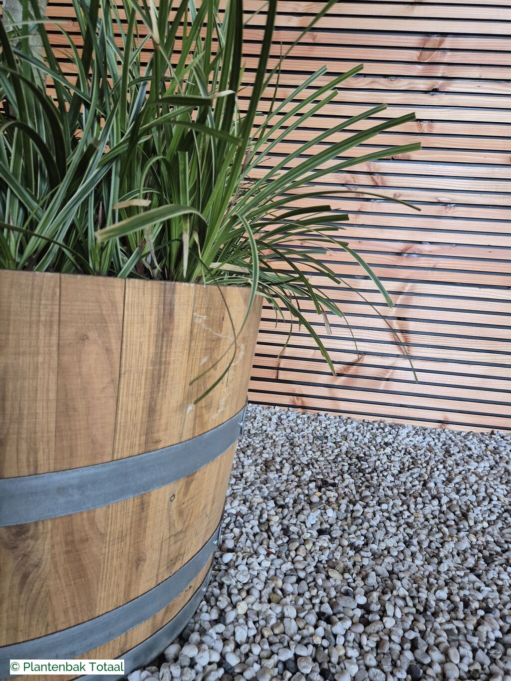 productfoto van plantenbak Eikenhout Half Wijnvat - Vijg & Carex