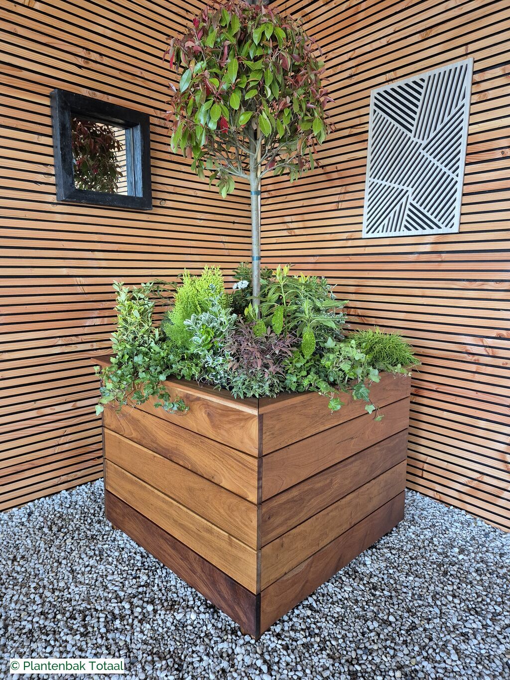 productfoto van plantenbak Hardhouten Granada - Planten Set