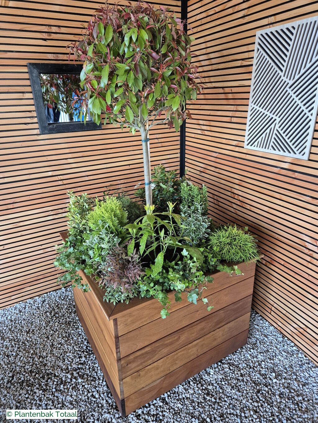 productfoto van plantenbak Hardhouten Granada - Planten Set