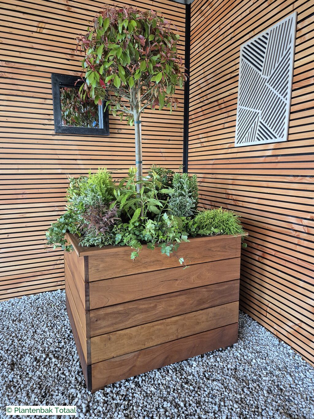 productfoto van plantenbak Hardhouten Granada - Planten Set