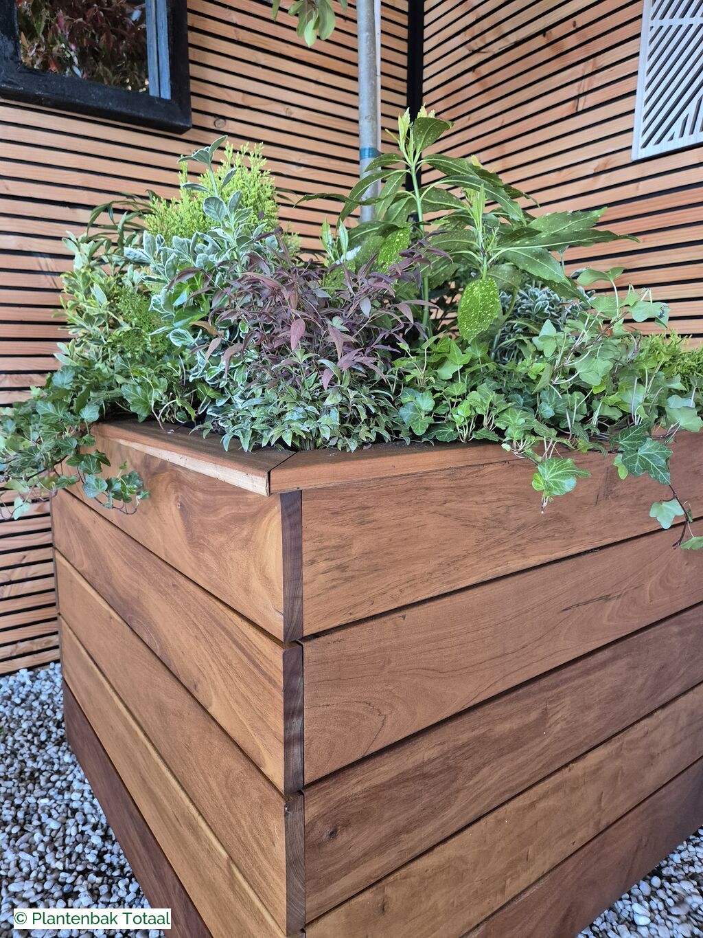 productfoto van plantenbak Hardhouten Granada - Planten Set