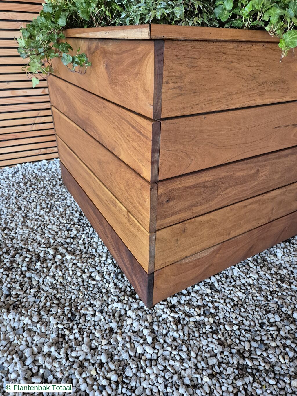 productfoto van plantenbak Hardhouten Granada - Planten Set
