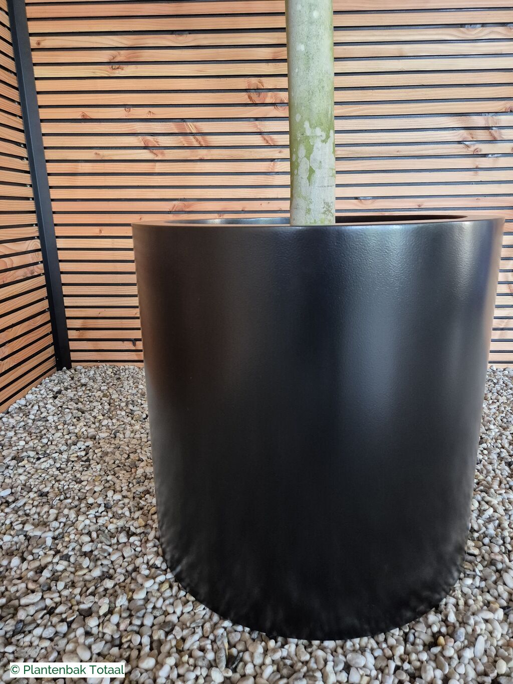 productfoto van plantenbak Aluminium Circum - Grote Vijgenboom