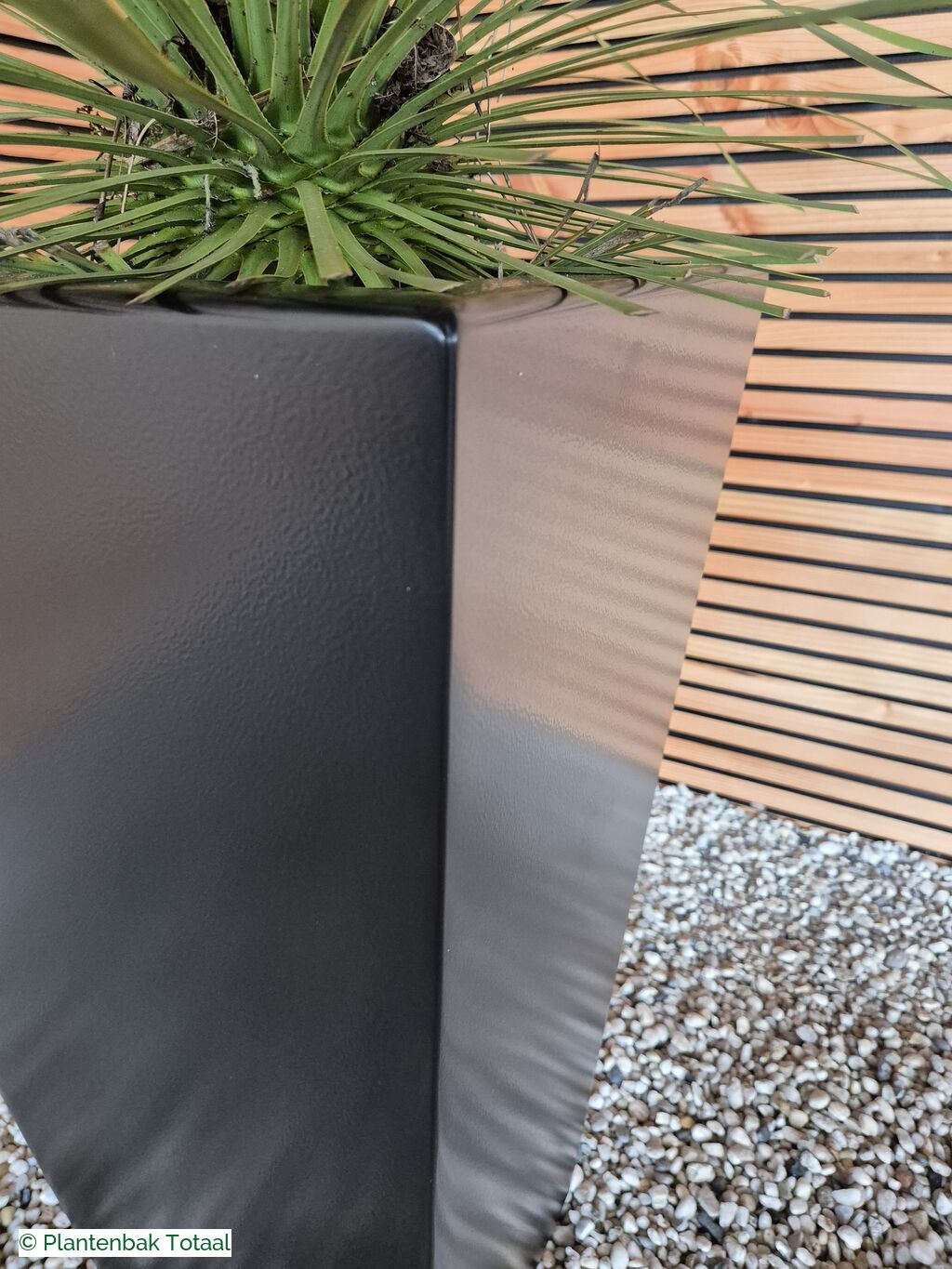 productfoto van plantenbak Aluminium TAP - Palmlelie